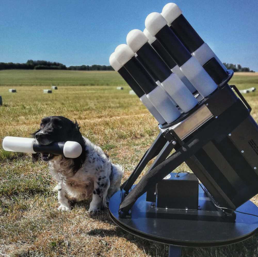 IMG_20180706_105027 (1)