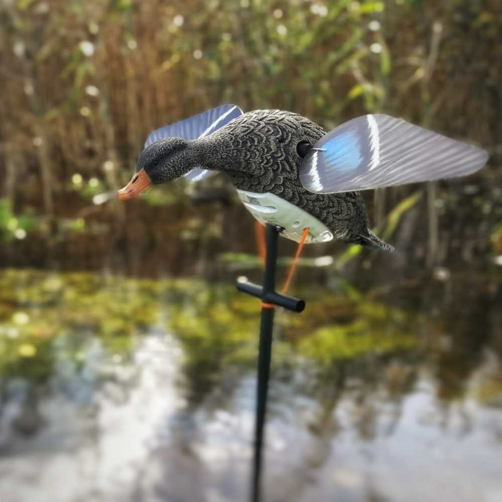 mallardspinner003
