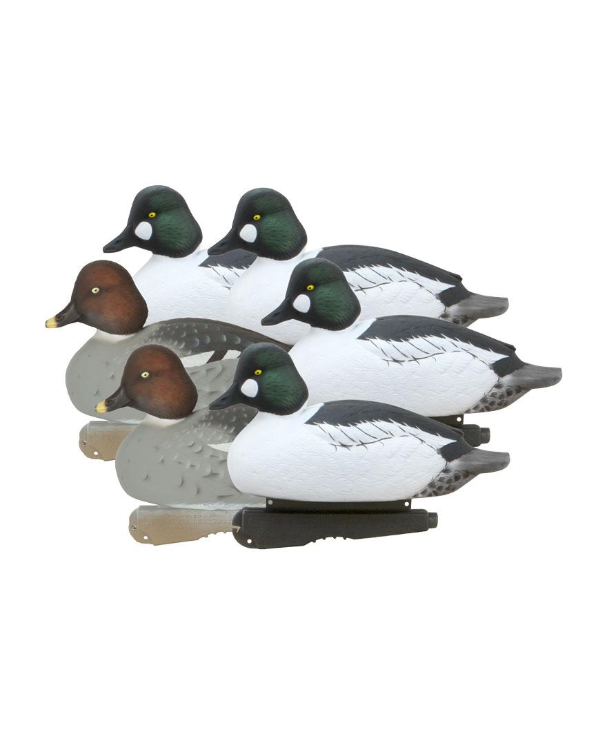 77163_Over_Size_Goldeneyes_SixPack