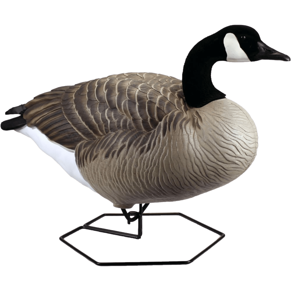 IMG_7204_clipped-removebg