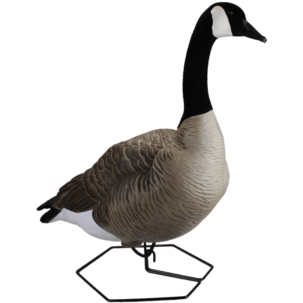 IMG_7229_clipped-removebg