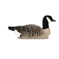 Avian-X flytande kanadagäss