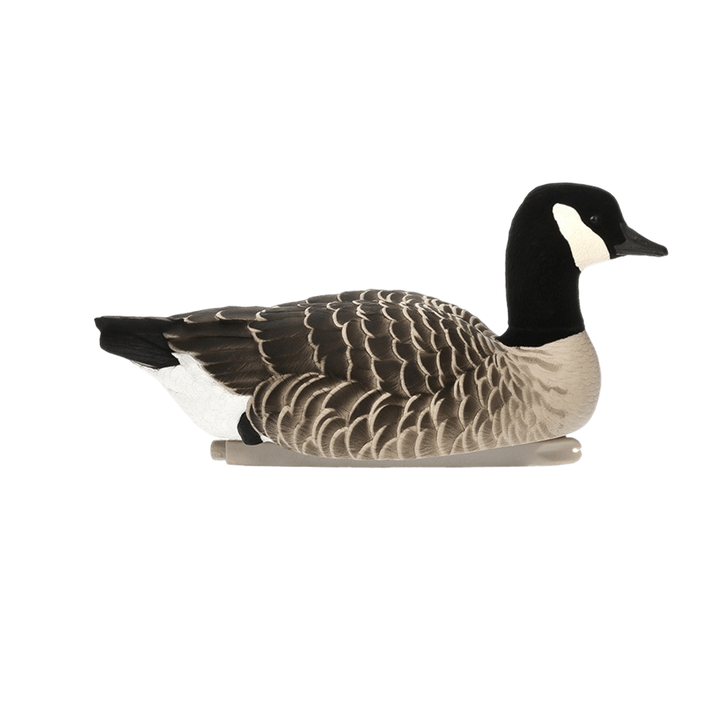 LF-314 Avian-X flytande kanadagäss