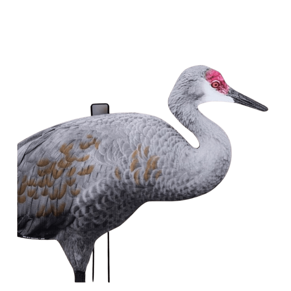 LF-626 Big Al's Tranor