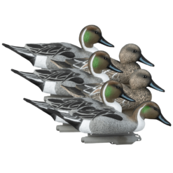 Higdon Stjärtänder