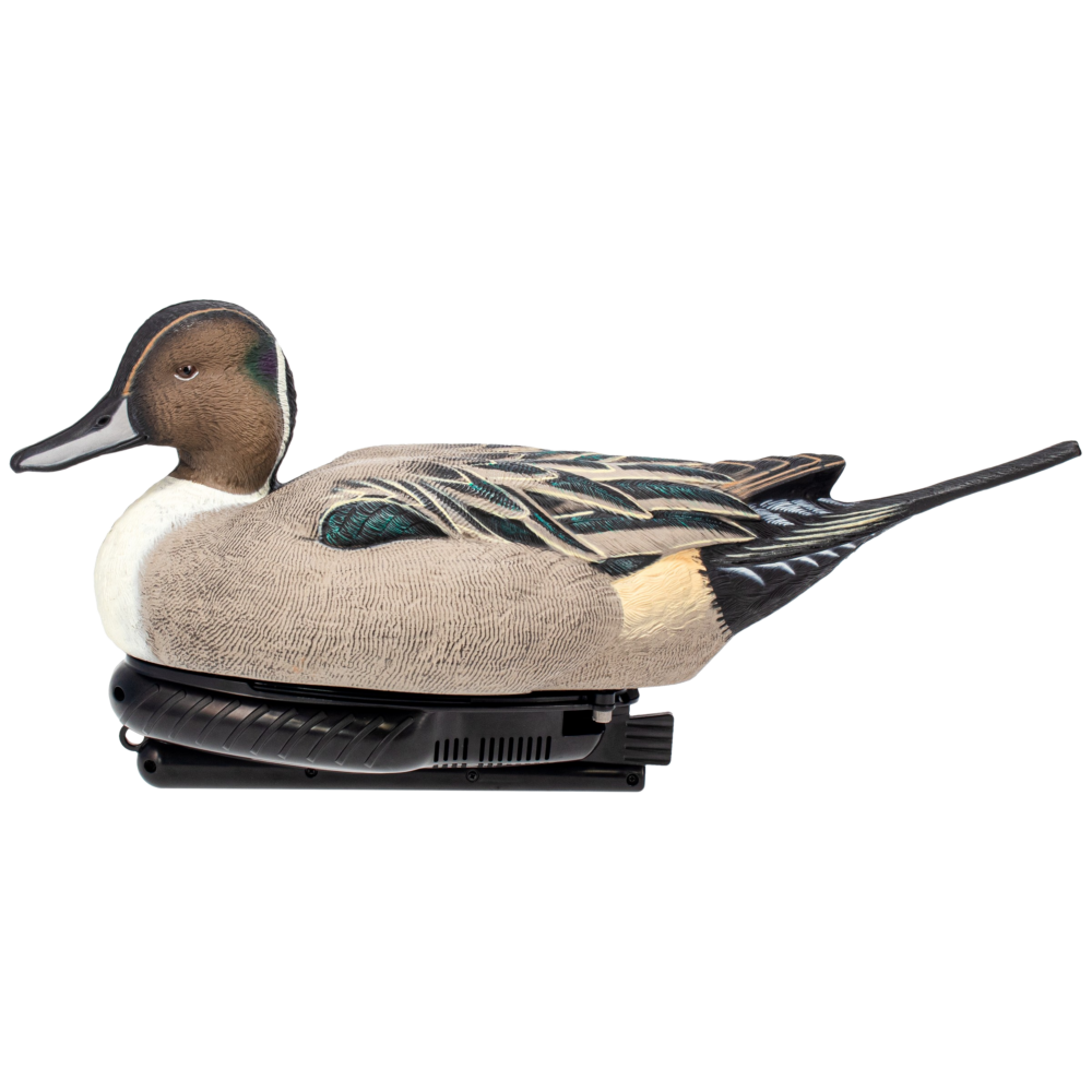 AVX-PSW-PNSW_H001-removebg