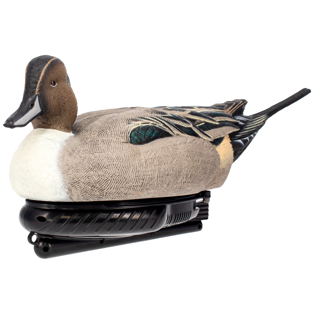 AVX-PSW-PNSW_H002-removebg