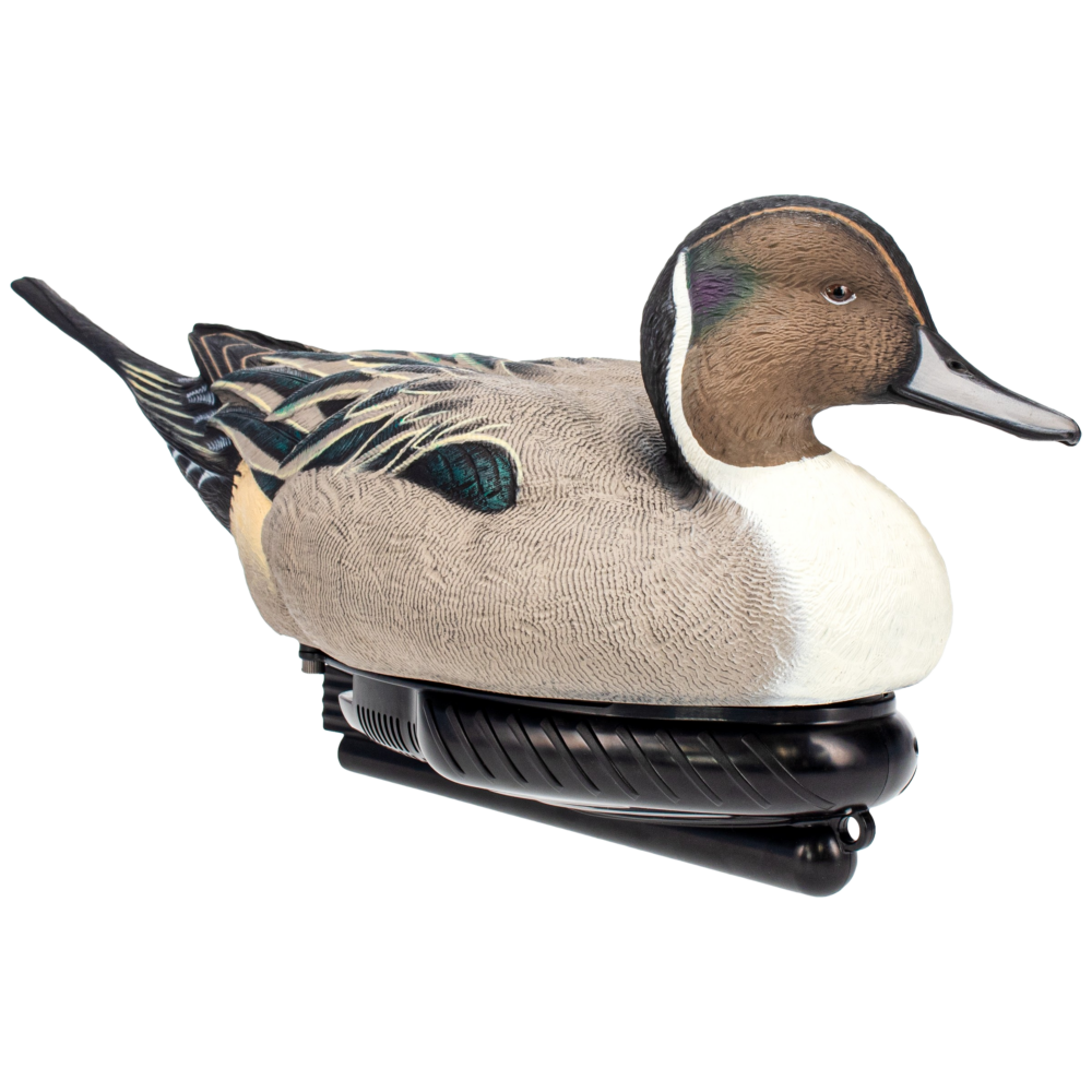 AVX-PSW-PNSW_H003-removebg