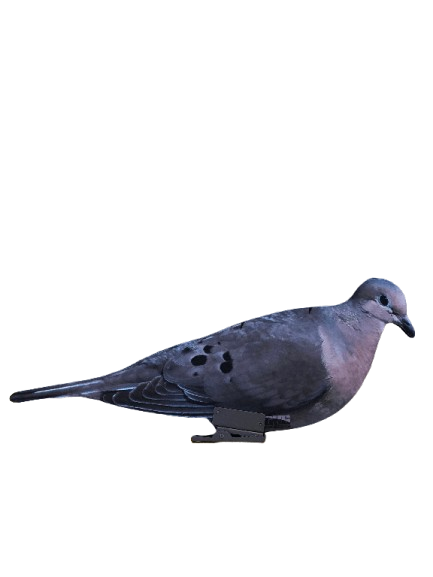 IMG_4627-removebg-preview