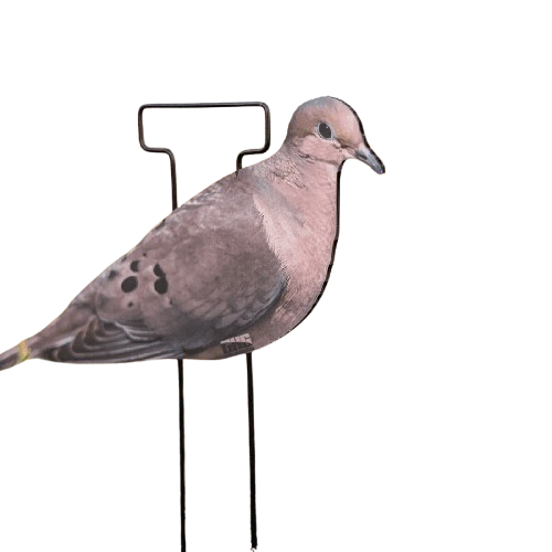 LF-529-removebg-preview